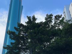 -御膳·现代粤菜·高空城景宴会厅·谢师宴(罗湖万象城店)