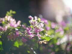 -默迹咖啡馆