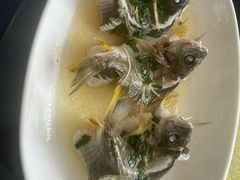 -叙兴楼(礼东财记农庄分店)