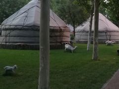 -九十九顶毡房(阜石路店)