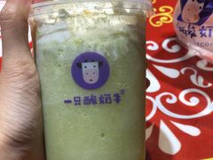 牛油果抹茶小帽-一只酸奶牛(奎星楼店)