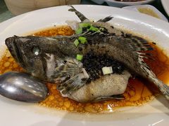 清蒸花尾龙趸-稻香酒家(长宁KING88广场店)