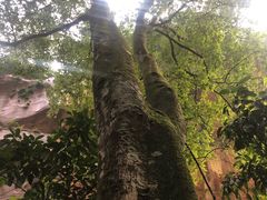 -赤水丹霞旅游区·佛光岩