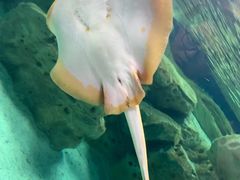 -珠海长隆海洋王国