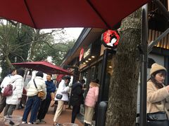 -茶颜悦色(岳麓山顶店)