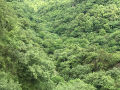 -塔云山