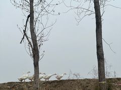 -动邦皮划艇·桨板·独木舟·团建户外运动俱乐部