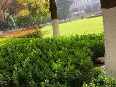 -昆山城市生态森林公园