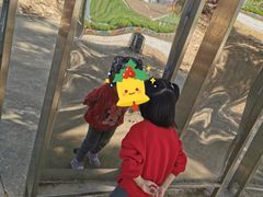 -松山湖梦幻百花洲