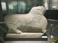 -仪征博物馆
