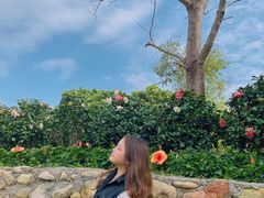 -汕尾莲花山温泉度假村