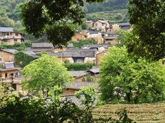 -杨家堂村