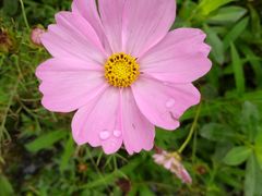 -桤木河湿地公园