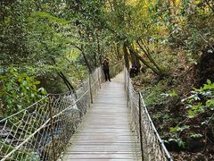 -燕子河大峡谷天坑仙境