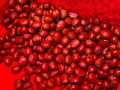 -高记桂花糖炒栗(鼓楼店)