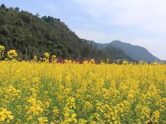 -贵阳市花溪国家城市湿地公园