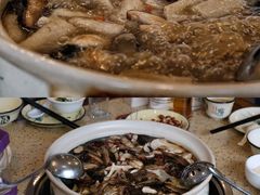 -杨记山珍鸡煲菌汤锅
