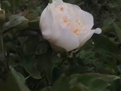 -迎泽公园