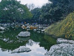 -神仙树公园