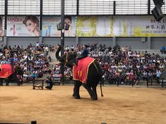 -东芭乐园