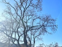 -张学良故居