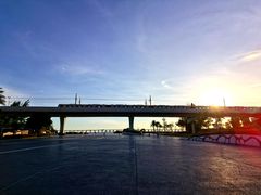 -宝安西湾红树林湿地公园