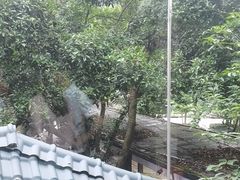 -天怡·鱼工厂(梅溪湖店)