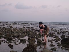 -半山半岛洲际度假酒店·观海廊