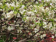 -元大都城垣遗址公园