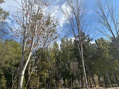 -回龙观体育文化公园