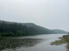-南京市无想山景区