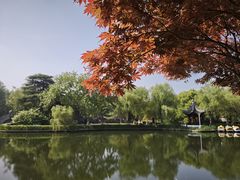 -泰州凤城河风景区-泰山公园