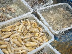 -小时候焗海鲜(鄞州万达店)