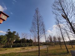 -眉山湿地公园(东坡区)