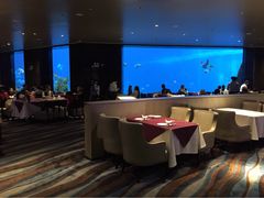 iphone_upload_pic-雨林餐厅(长隆海洋王国店)