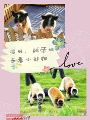 -萌宠亲子动物乐园(槐房万达店)