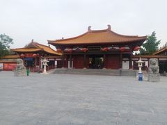 -神州牡丹园