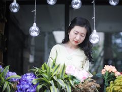 -泡桐树街