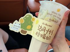 -猫的魔法密林(衣裳街店)