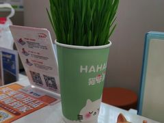 -瑞鹏宠物医院·超声·骨科·奇麟分院(蜀都万达店)