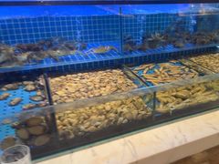 -冀粤香海鲜自助餐厅(西美五洲店)