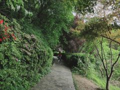 -岳麓山风景名胜区