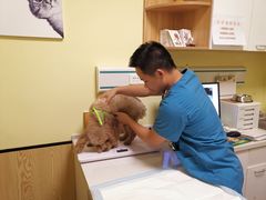 -派联宠物医院·24h·CT·异宠