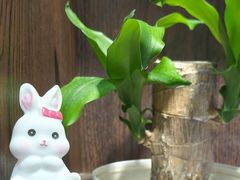-灶东家民间菜(回兴店)
