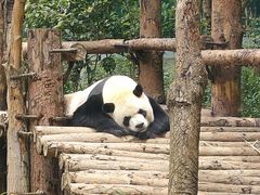 -黔灵山公园
