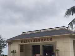 -临高角