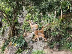 -鹿回头风景区