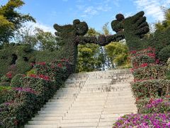 -东南花都花博园