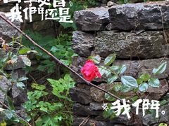 -井塘古村