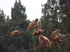 -昆明动物园